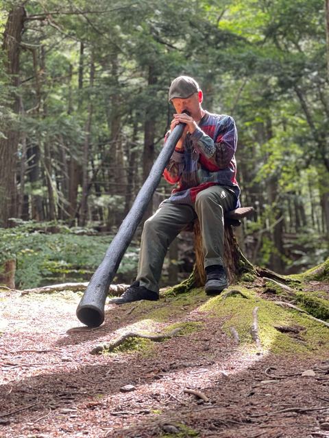 Playing the didgeridoo seated on a stump among tall trees