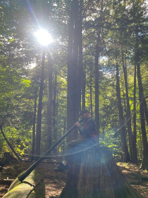 Sun rays through tall trees while playing the didgeridoo