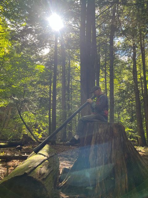 Playing the didgeridoo in a sunlit forest clearing